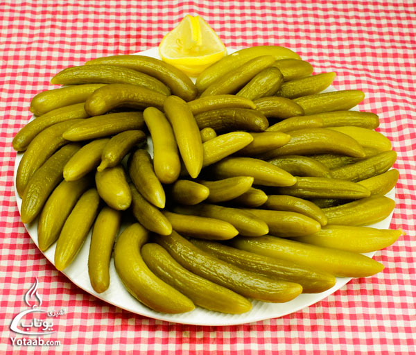 خیار شور معمولی